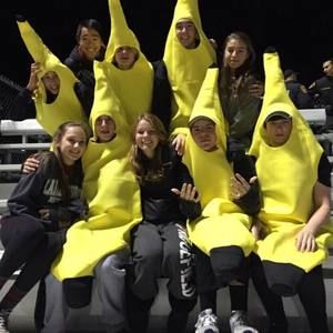 Meet your Posher, Patrick